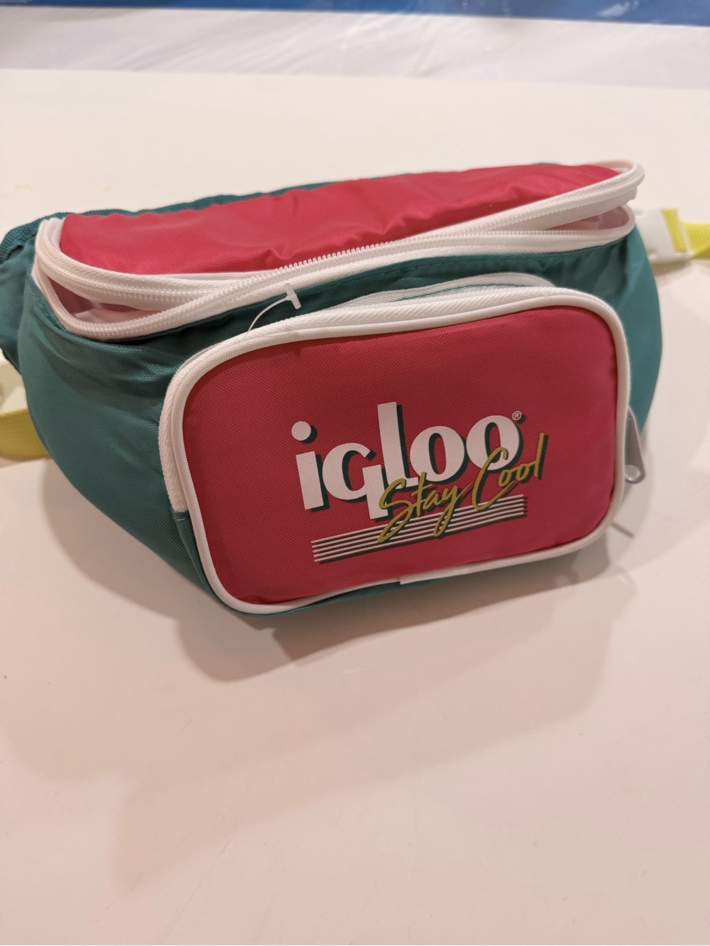 Igloo Stay Cool Retro Fanny Pack - Teal & Pink